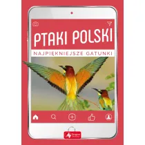 Ptaki Polski Najpi�kniejsze gatunki