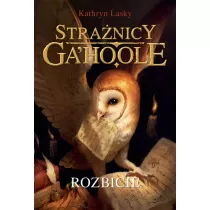 Rozbicie. Stranicy Ga'Hoole. Tom 5