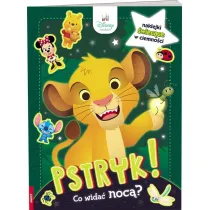 DISNEY MALUCH. PSTRYK  CO WIDA� NOC�
