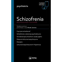 Schizofrenia. Diagnoza i terapia. W gabinecie lekarza specjalisty. Psychiatria