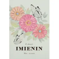 Karnet okazjonalny B6 z kopert� Imieniny Kobieta PAN DRAGON HM200-3135