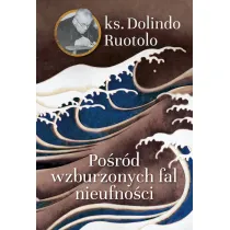 Po�r�d wzburzonych fal nieufno�ci