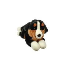 Pies berne�ski 61cm Dubi
