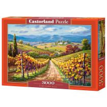 Puzzle 3000 el. Winnica Hill Castorland