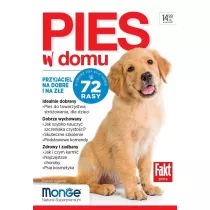 Pies w domu