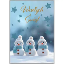 Trend Karnet Boe Narodzenie