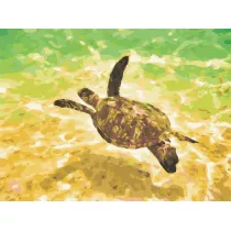 Hobby-maniak.pl Malowanie po numerach. w morskii 30 x 40 cm