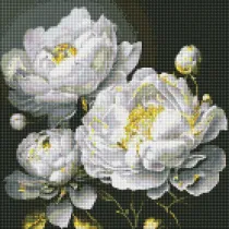 Ideyka Diamentowa mozaika - Nieskazitelne pi�kno 40x40cm
