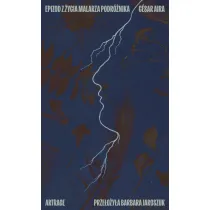 Epizod z �ycia malarza podr�nika