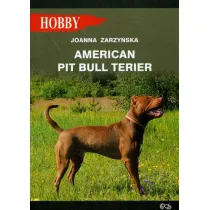 American pit bull terier