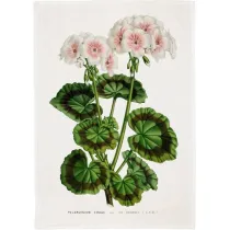 R�cznik kuchenny - Bia�a pelargonia