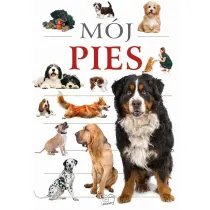 M�j pies