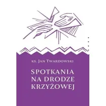 Spotkania na drodze krzy�owej
