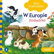 W Europie. Podwrko. Krlik