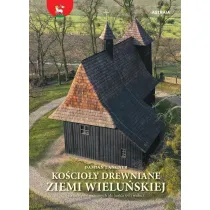Ko�cio�y drewniane ziemi wielu�skiej