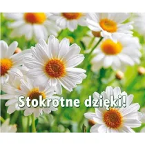 Stokrotne dzi�ki! Pere�ka 263