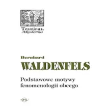 Podstawowe motywy fenomenologii obcego