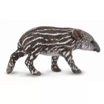 Tapir ciel� bairda