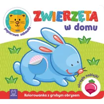 Zwierzta w domu. Kolorowanka z grubym obrysem