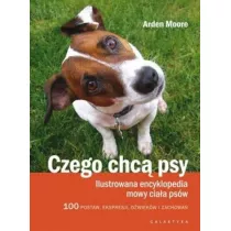 Czego chc psy