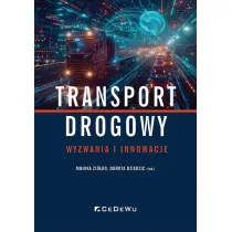 Transport drogowy. Wyzwania i innowacje