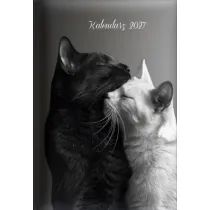 Sapt Kalendarz dzienny 2027 A5 koty B&W