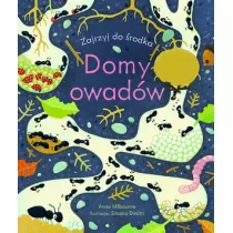 Domy owadw. Zajrzyj do rodka