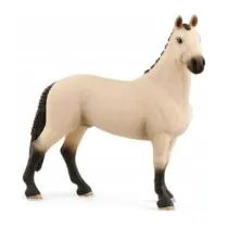 Ko Waach rasy Hanoverian Red Dun