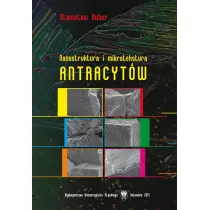 Nanostruktura i mikrotekstura antracyt�w
