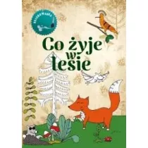 Co yje w lesie Kolorowanka