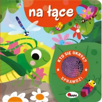 Kto si ukry? Na ce