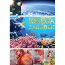 Ksiga zagadek