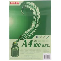 Papier Brystol A4 100 ark.170g