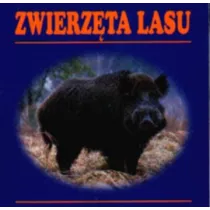 Zwierzta lasu harmonijka