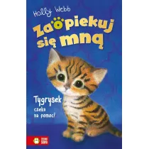 Zaopiekuj si mn. Tygrysek czeka na pomoc