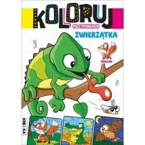 Zwierz�tka. Koloruj po cyferkach
