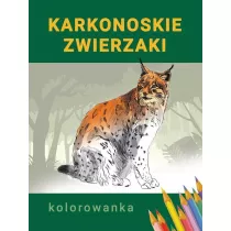 Kolorowanka Karkonoskie zwierzaki