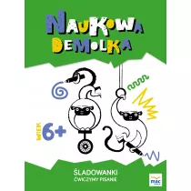 ladowanki. wiczymy pisanie 6+