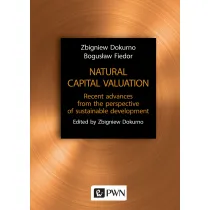 Natural capital valuation. Recent advances from the perspective of sustainable development