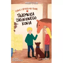 Tajemnica zaginionego konia. Chaos i spka na tropie. Tom 2