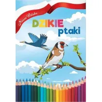 Nasza Polska. Dzikie Ptaki