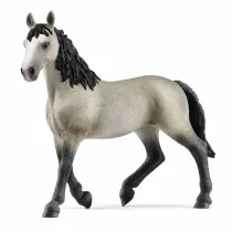 Klacz rasy cheval de selle francais