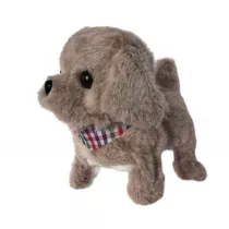 Tw�j pupilek piesek Askato