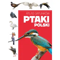 Atlas gatunk�w. Ptaki Polski