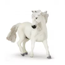 Ko� Camargue