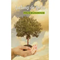 Przebudzenie