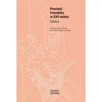 Powie�� irlandzka w XXI wieku. Szkice