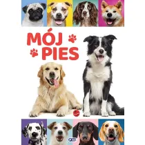 M�j pies