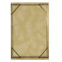 Fandy Fotoalbum kieszeniowy szyty Vinyl