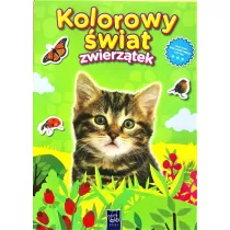 Kolorowy �wiat zwierz�tek. Kotek